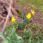 Brenda Latimer - Facebook