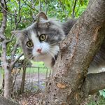 Brenda DeWitt Lechner - @bblechner - Instagram