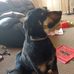 Brenda Lechner - Facebook