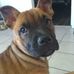 Brenda Locklear - Facebook