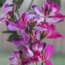 Brenda Mack-Plotz - Facebook