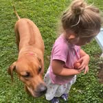 Brenda Maher - @brendamaher62 - Instagram