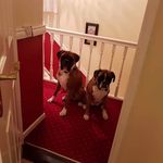 Brenda mccormack - @mccormack258 - Instagram