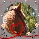 Brenda McCormack - @oldmcdonald1973 - Instagram