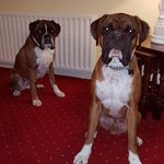 Brenda McCormack - @mccormack4967 - Instagram