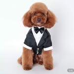 Brenda McElroy - @mini.meepets - Instagram