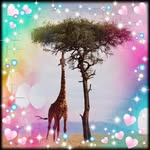 Brenda McGrath - @brendamcgratb - Instagram