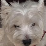 Brenda McGrath - @bmg2607 - Instagram