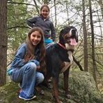 Brenda McGrath Nadeau - @brenda.m.nadeau - Instagram