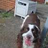 brendaparsons77 - @brendaparsons77 - TikTok