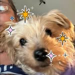Brenda Feagin Patrick - @blpatrick5404 - Instagram