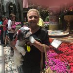 Brenda Zajac-pendleton - @zajacpendleton - Instagram
