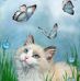 Brenda Pinto - Facebook