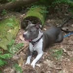 Brenda Ringler - @brenda.ringler.14 - Instagram