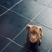 Brenda Rixon-smith - Facebook