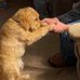 Brenda Robison - Facebook