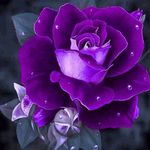 Brenda Roper - @roperbrenda57 - Instagram