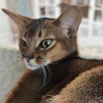 Brenda Russo - @brenda.russo.54 - Instagram