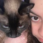 Brenda Russo - @rus.brenda - Instagram