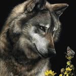 Brenda Schubert - @brendaschubert8 - Instagram
