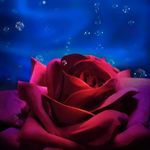 Brenda Schulz - @schulzbrenda56 - Instagram
