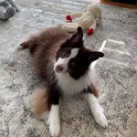 Brenda Schulz Bolton - @boltonbrenda - Instagram