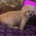 Brenda Stembridge - Facebook