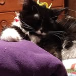 Brenda Stuart - @whosaidtheycould - Instagram
