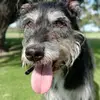 brendastuart279 - @brendastuart279 - TikTok
