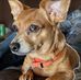 Brenda Sutton - Facebook