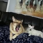 Brenda Sutton - @sutton_brenda - Instagram