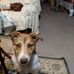 Brenda Sweatt - Facebook