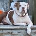Brenda Sweatt Sutton - Facebook