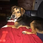 Brenda Thorne - @crazyoldgramma - Instagram