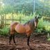 Brenda Wakefield - Facebook