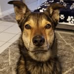 Brenda Wakefield - @changingtimes2023 - Instagram