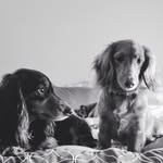 @wakefield.brenda - Instagram