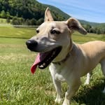 Brenda Way - @brendaway - Instagram