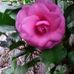 Brenda Weems - Facebook