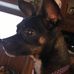 Brenda Workman - Facebook
