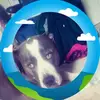 Brenda Workman - @brenda.workman1 - TikTok