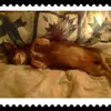 brendaworkman7 - @brendaworkman7 - TikTok