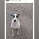 Brenda Wright - @brendawright1234 - Instagram