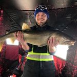 Brendan Arthur - @dinofishn - Instagram