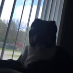 Brendan James Becker - @brendanjamesbecker - Instagram