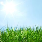 Brendan Bush and lawn care - Facebook