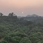 Brendan Coady - @iamprobablylost - Instagram