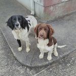 brendan costello - @costello8265 - Instagram