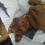 Brendan Cunningham - @brendancunningham31 - Instagram