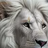 Brendan Daniel - @brendan.daniel - TikTok